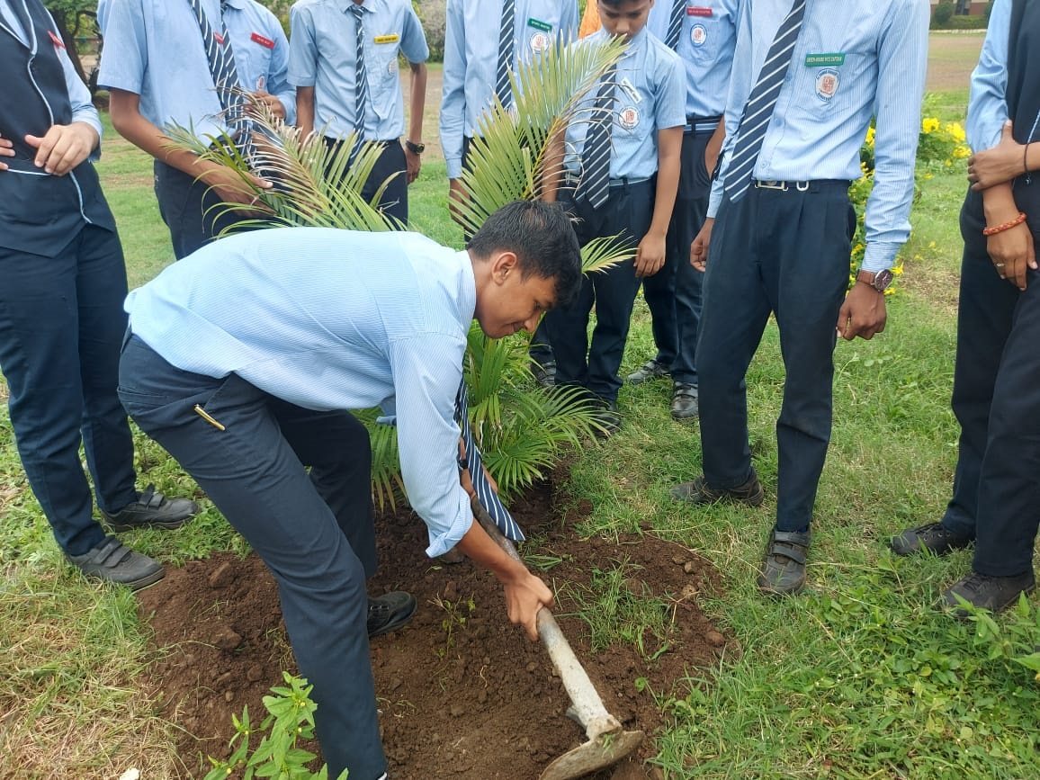 Tree Plantation